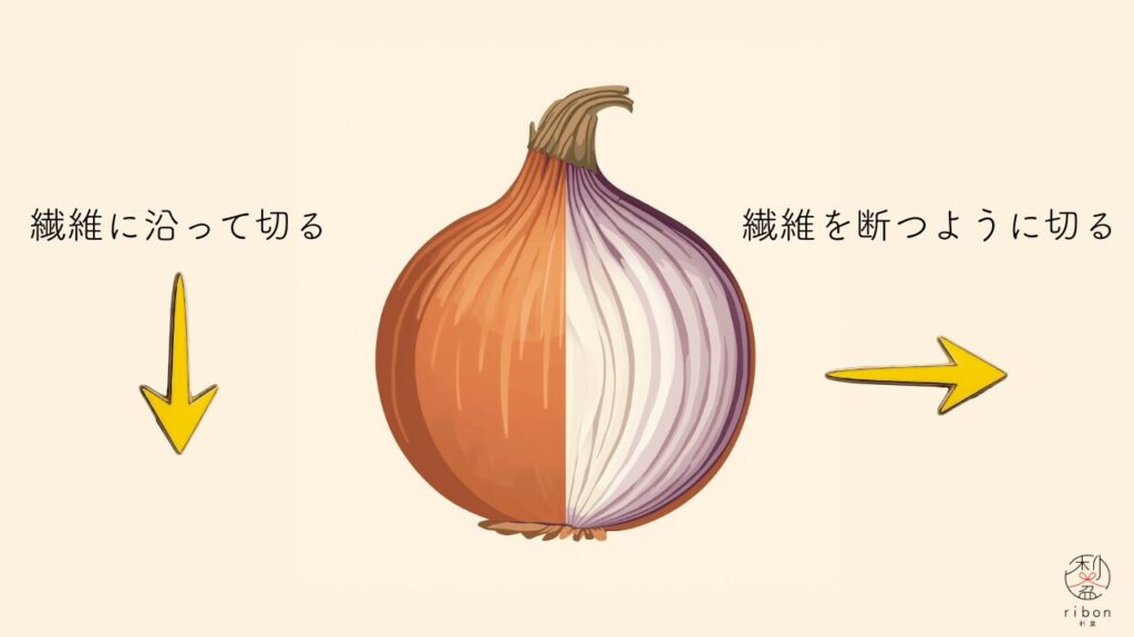玉ねぎの正しい切り方(繊維)